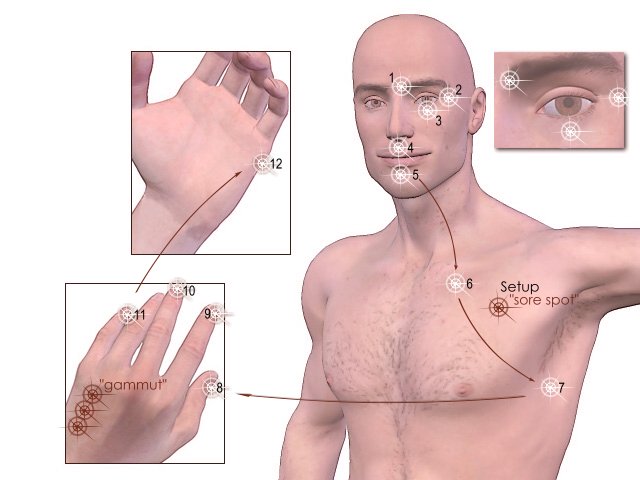 EFT Meridian Tapping Therapy Points